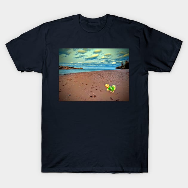 Snowball jumping on Fundy bay T-Shirt by AdonEast